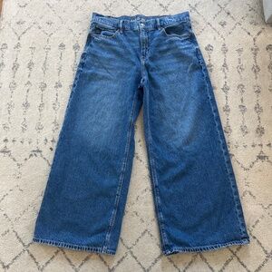 AE Strigid Low-Rise Ultra Wide-Leg Jean